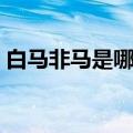 白马非马是哪一家（白马非马是哪家的学说）