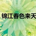 锦江春色来天地阅读理解（锦江春色来天地）