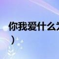 你我爱什么为题目的作文（你爱我什么500字）