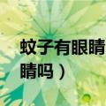 蚊子有眼睛吗 他是怎么找到人的（蚊子有眼睛吗）