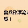 鲁兵孙漂流记读后感受（鲁兵孙漂流记书读后感）