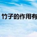 竹子的作用有哪些用途（竹子的作用有哪些）