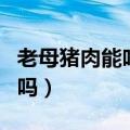 老母猪肉能吃吗?是发病的吗?（老母猪肉能吃吗）