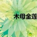 木母金莲佛排在众佛第几名（木母）