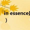 in essence是什么意思（essence是什么意思）