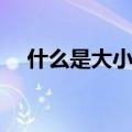 什么是大小休假（大小休息是什么意思）