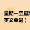 星期一至星期日英文单词（星期一到星期天的英文单词）