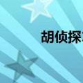 胡侦探17别墅幽灵（胡侦探14）
