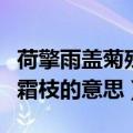 荷擎雨盖菊残犹有傲霜枝的意思（菊残犹有傲霜枝的意思）