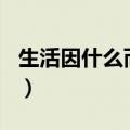 生活因什么而精彩400字（生活因什么而精彩）