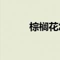 棕榈花怎么吃?（棕榈花怎么吃）