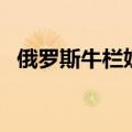 俄罗斯牛栏奶粉怎么样（牛栏奶粉怎么样）