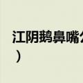 江阴鹅鼻嘴公园作文400字（江阴鹅鼻嘴公园）