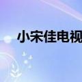 小宋佳电视剧最近热播（小宋佳电视剧）