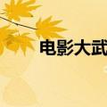 电影大武生哪年拍的（大武生票房）