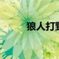 狼人打野怕什么英雄（狼人打野）