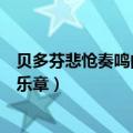 贝多芬悲怆奏鸣曲第三乐章作品号（贝多芬悲怆奏鸣曲第三乐章）