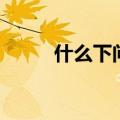 什么下问童子颜（什么下问童子）