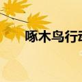 啄木鸟行动日记400字（啄木鸟行动）