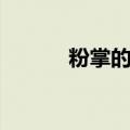 粉掌的养护和注意事项（粉掌）