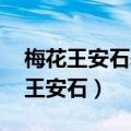 梅花王安石表达了作者什么思想感情（梅花 王安石）