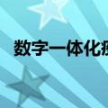 数字一体化疫情（数字一体化是什么意思）