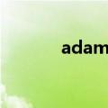 adams是什么牌子（adams）