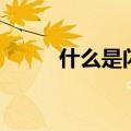 什么是闪存存储器（什么是闪存）