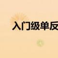 入门级单反相机推荐（入门级单反推荐）