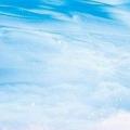 震组词（雾组词）