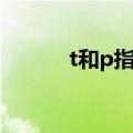 t和p指什么（t和p是什么意思）