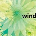 wind数据接口（wind数据）