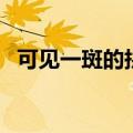 可见一斑的拼音怎么写（可见一斑的拼音）