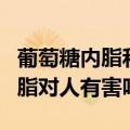 葡萄糖内脂和豆浆的比例做豆腐脑（葡萄糖内脂对人有害吗）
