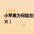 小苹果为何能在短时间内风靡大街小巷（小苹果为什么这么火）
