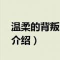 温柔的背叛 电视剧演员表（温柔的背叛剧情介绍）