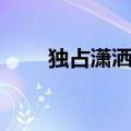 独占潇洒屠洪刚现场版（独占潇洒）