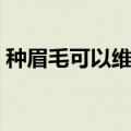种眉毛可以维持多久（嫁接睫毛能保持多久）