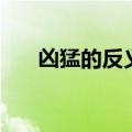 凶猛的反义词三年级（凶猛的反义词）