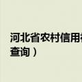 河北省农村信用社银行卡余额查询（农村信用社银行卡余额查询）