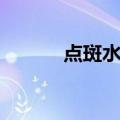 点斑水的成分是什么（点斑水）