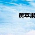 黄苹果什么时候成熟（黄苹果）