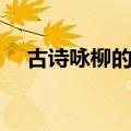 古诗咏柳的意思讲解（古诗咏柳的意思）