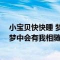 小宝贝快快睡 梦中会有我相随歌名是什么（小宝贝快快睡 梦中会有我相随）