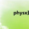 physx开还是不开好呢（physx）