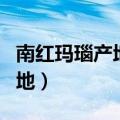 南红玛瑙产地是哪里的最好价值（南红玛瑙产地）