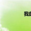 我的班级作文（我的班）