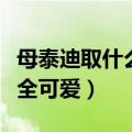 母泰迪取什么名字好听的名字（母泰迪名字大全可爱）