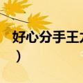 好心分手王力宏卢巧音MV（好心分手王力宏）