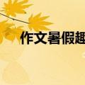 作文暑假趣事600字（元旦趣事600字）